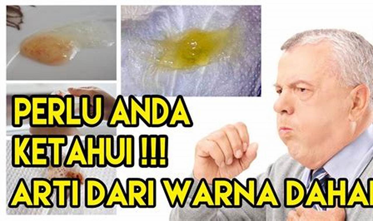 Cara Mengatasi Dahak Berwarna Kuning Cara Mengatasi Dahak Berwarna Kuning
